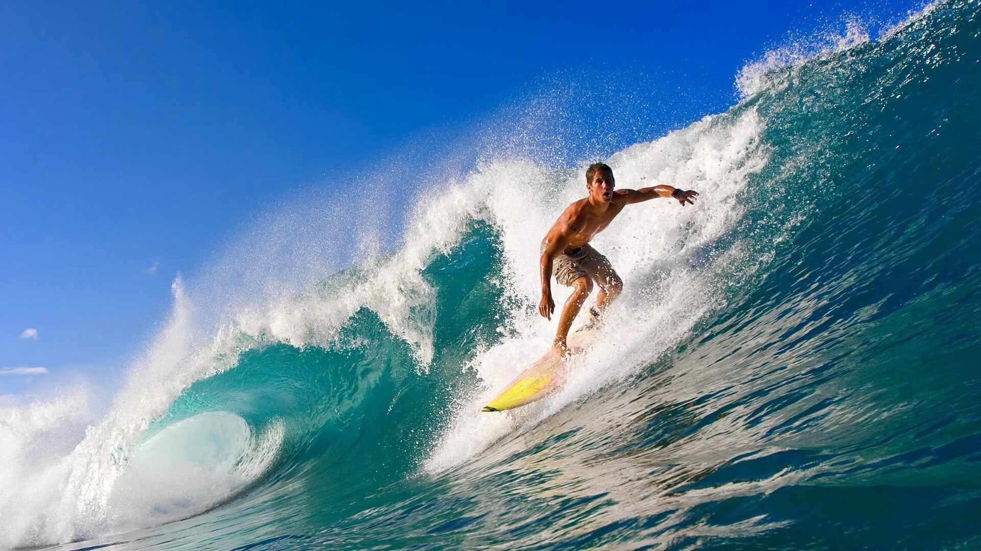 体育新闻中心关注健身类应用用户体验内容优化方向,体育新资讯